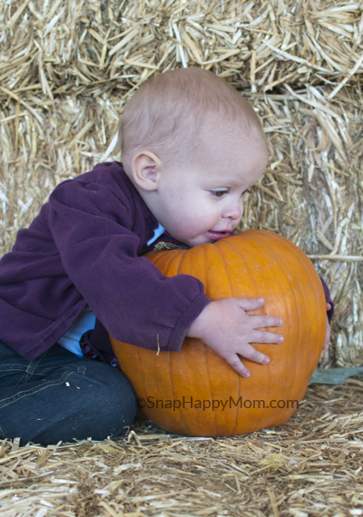 Pumpkin Patch Coupon Code 2013