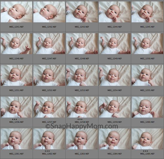 collage of baby pictures