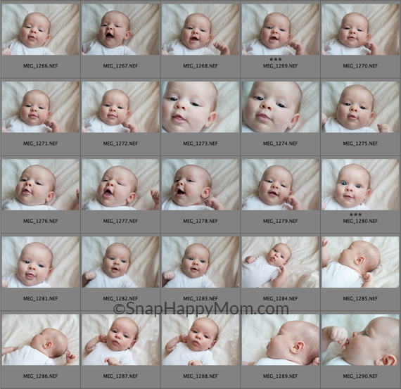 collage of baby pictures