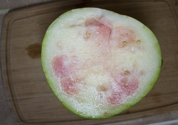 not ripe watermelon