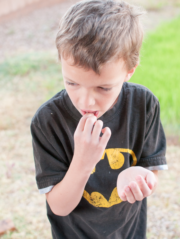 How To Take Pictures of that First Lost Tooth - SnapHappyMom.com