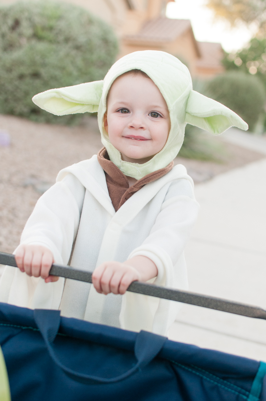 Star Wars Costume - Yoda