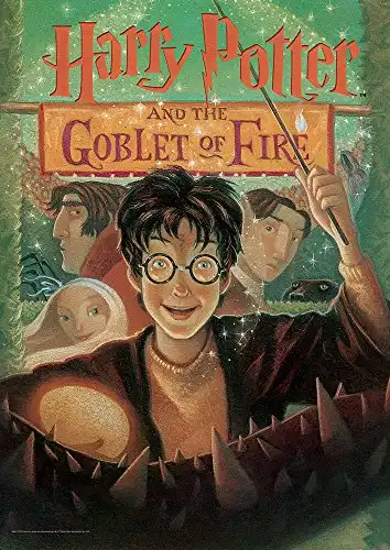 Harry Potter - Goblet of Fire - Book Cover – Durable 17” x 24” MightyPrint Wall Art – NOT Made of Paper – Officially Licensed Collectible