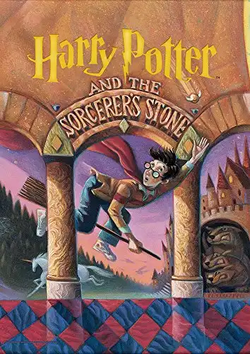 Harry Potter - Sorcerers Stone - Book Cover – Durable 17” x 24” MightyPrint Wall Art – NOT Made of Paper – Officially Licensed Collectible