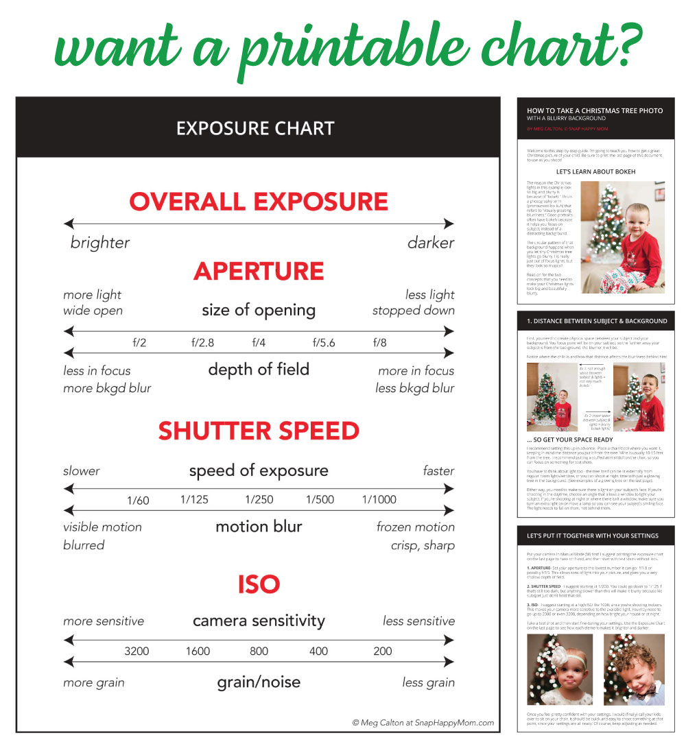 sony a6000 settings cheat sheet pdf